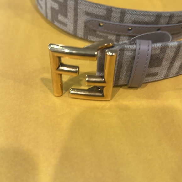 Fendi Brown and Gold women Belt Bag - Picture 12 of 17